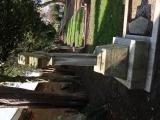 image of grave number 827800